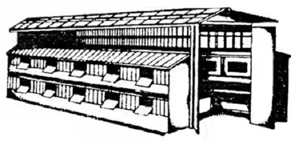  Sketchy Shed for Rabbit