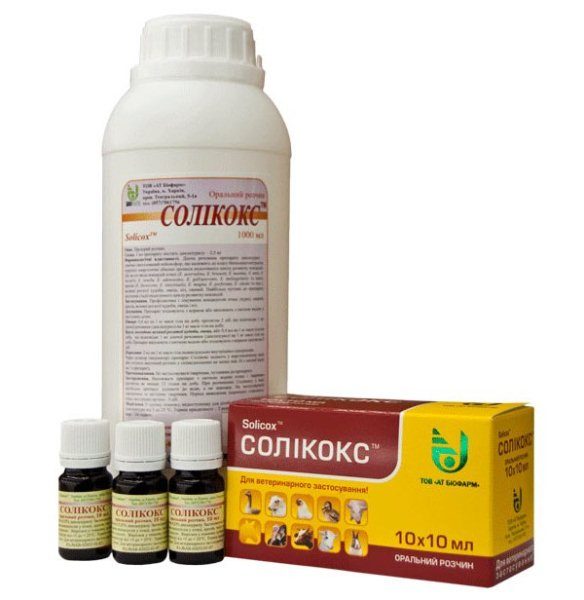  Solikox in different packages