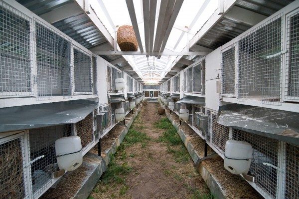  Shedding system
