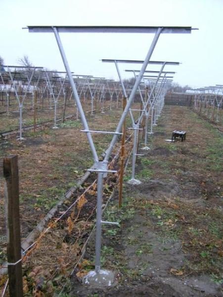  Y-shaped trellis
