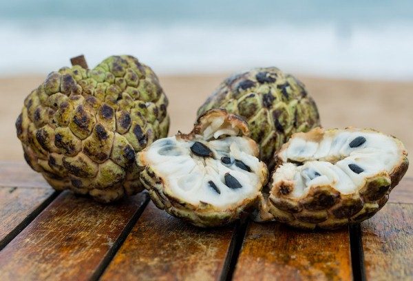  Annona scaldă semințele foarte toxice