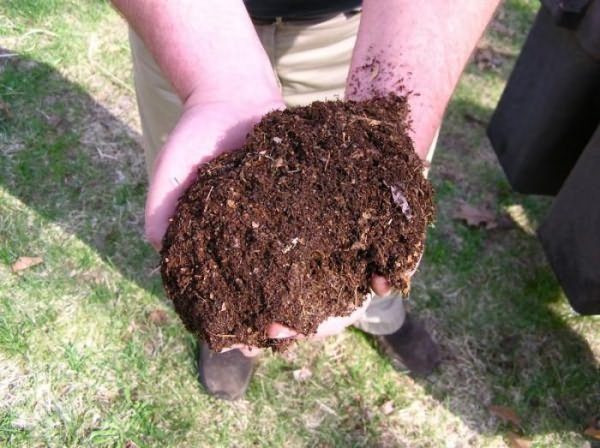  Fertilizer for raspberry autumn
