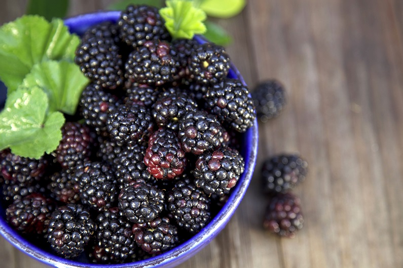  Black raspberry