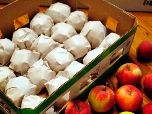  Apples in paper