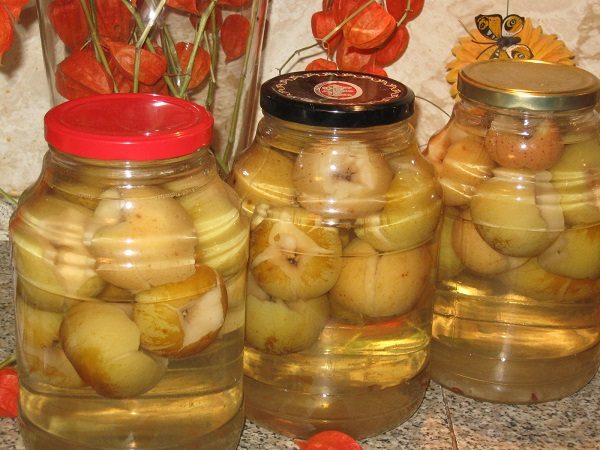  Apple compote