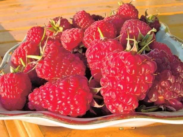  Raspberry Monomakh Hat