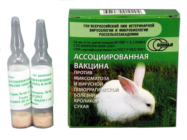  Vaccine associated against myxomatosis and viral hemorrhagic disease of rabbits is dry