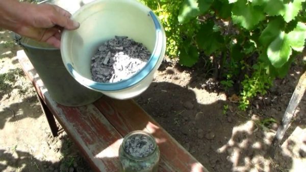 Preparation of feeding for raspberries in the summer