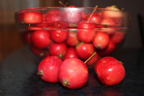  Harvest red ripe