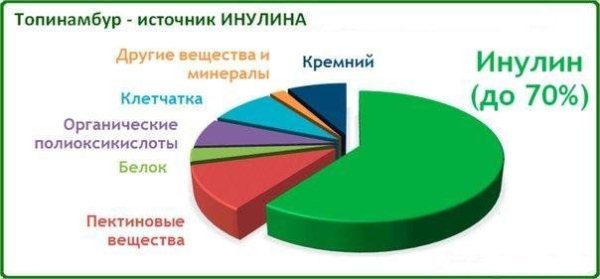  Chemistry composition of Jerusalem artichoke