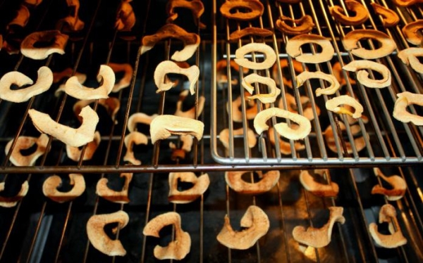  Apples can be dried in the oven, in the sun, on a string, in a microwave and an electric dryer