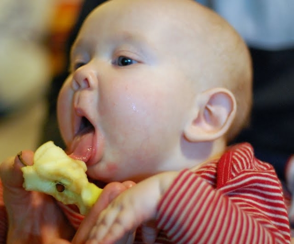  Pregnant and lactating women, as well as children need to include apples in the diet