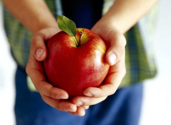  What is the use, composition, harm of apples to the human body, is this fruit possible for everyone?