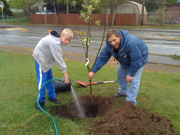  The onset of frost is the starting point for planting apple trees in the fall