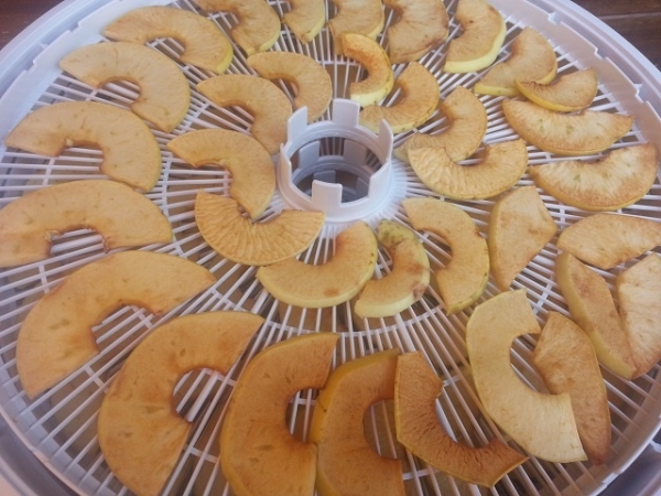  In the electric dryer, you can dry a large number of apples in a short time