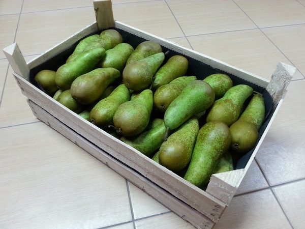  Harvest Fresh Conference Pears