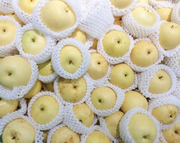  The average shelf life of pears varies from 1 to 4 months.