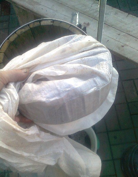  Torta di mele dopo la stampa