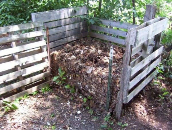  Compost ready for use as fertilizer