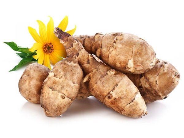  Pear or Jerusalem artichoke