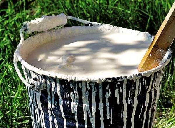  Solution for whitewashing trees
