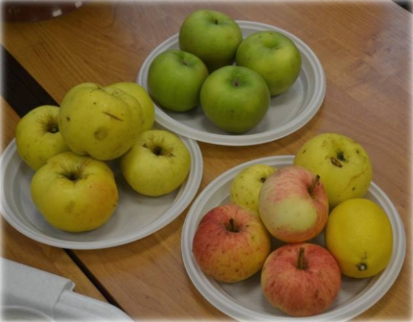  The calorie content of apples depends on their variety, the size of the fruit and the method of harvesting.
