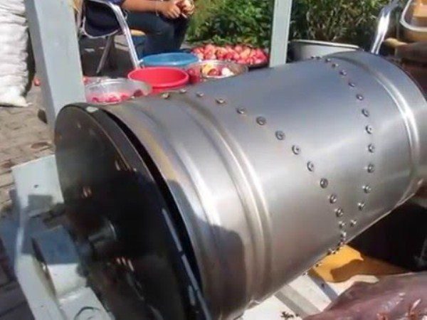  Homemade Apple Chopper