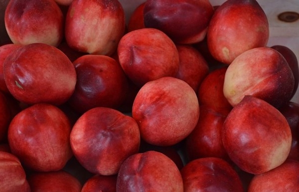  Un híbrido de melocotón y manzana llamado nectarina de manzana.