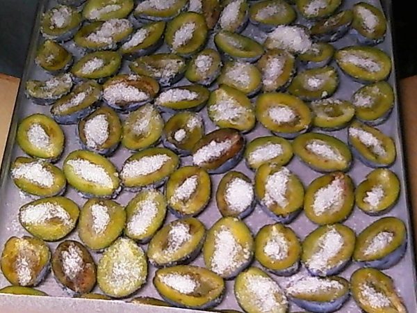  Preparación de ciruela para secar.