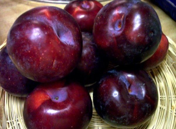  Los beneficios y perjuicios de las ciruelas.