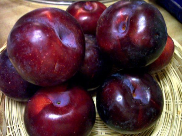  Los beneficios y perjuicios de las ciruelas.