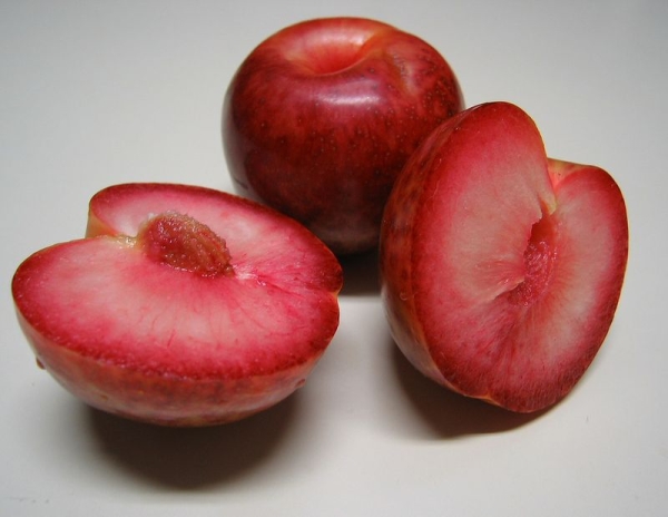  Pluot es un híbrido de ¼ que consiste en albaricoque y ¾ de ciruela