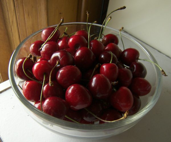  Cherries Harvest Sam