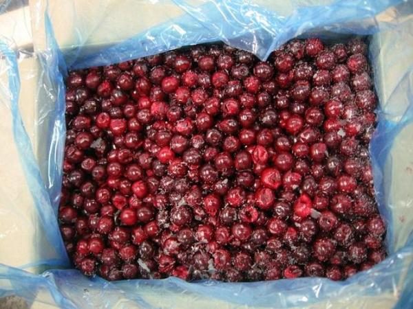  Frozen cherry youth variety