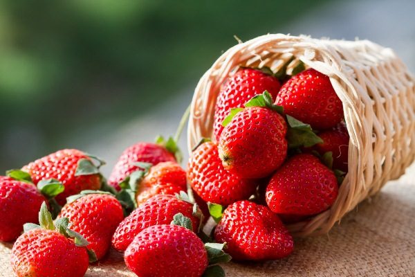  I benefici e i rischi delle fragole per la salute umana