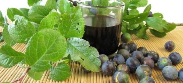  Vino di prugna selvatica