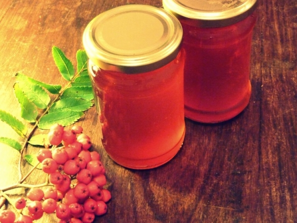  Dal rowan rosso può cucinare un decotto dell'influenza e perfino eliminare le verruche