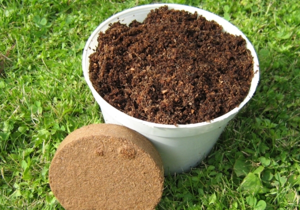  Estratificación: mantener el material de siembra en condiciones frías y húmedas, lo que le permite germinar el hueso.