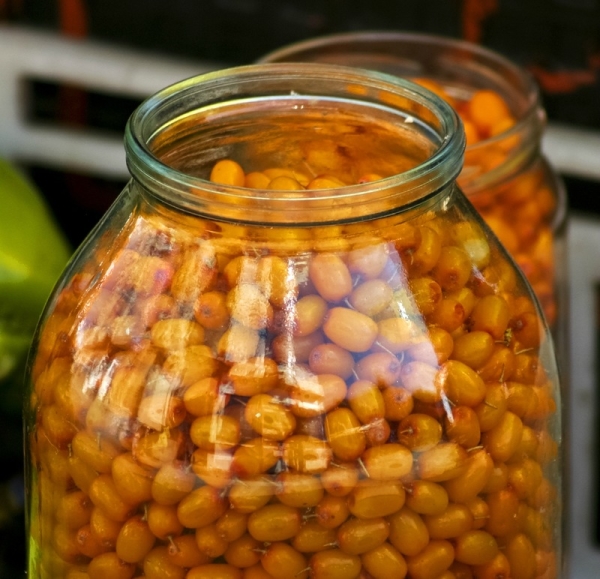  Long shelf life of sea buckthorn is achieved by sterilizing the product, preparing compotes, jellies, jams, etc.