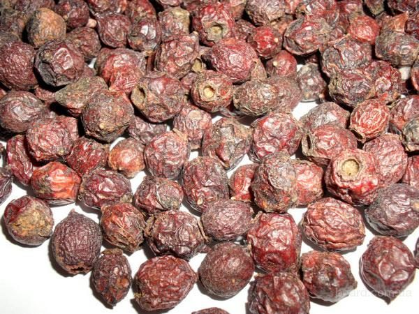  Biancospino secco