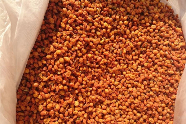  When dried in the oven or dryer, sea buckthorn fruits retain the greatest amount of nutrients