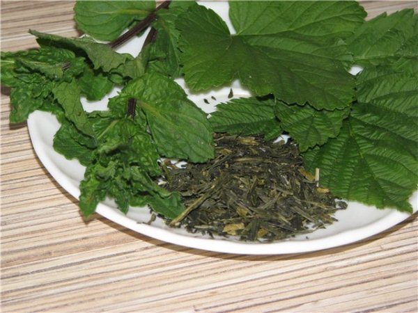  Le foglie di ribes hanno molte sostanze utili.