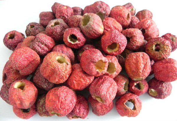  Bacche di biancospino congelate senza buche