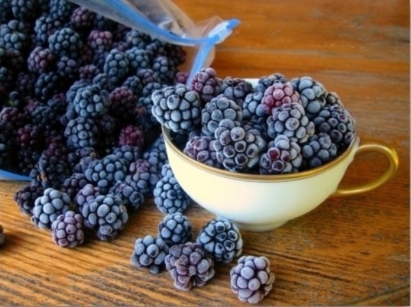  Moras congeladas