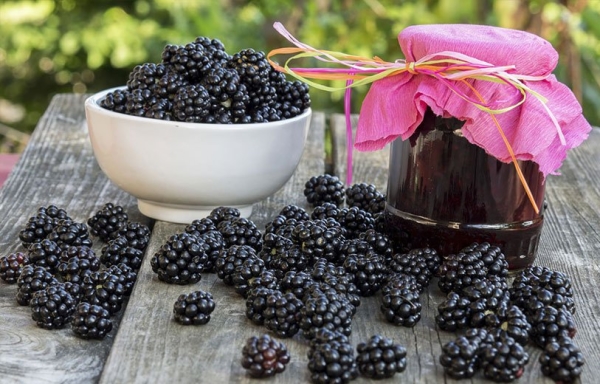  Las moras se utilizan para hacer mermelada saludable: clásica, congelada y cinco minutos.