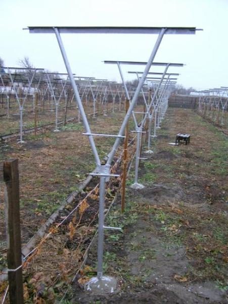  Y-shaped trellis design