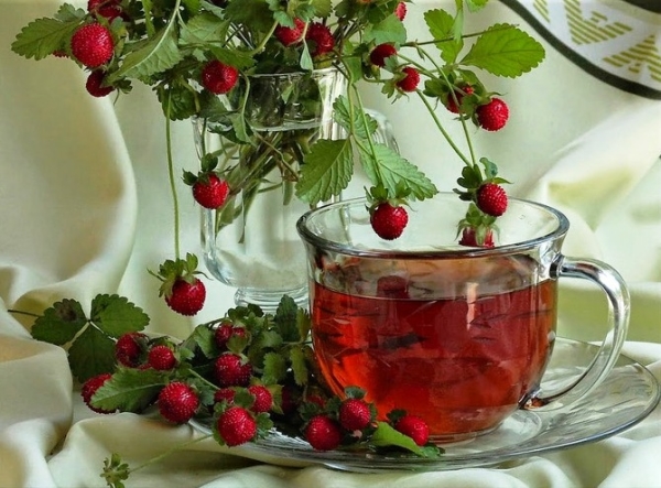  Infusões de folhas de morango são usadas para avitaminose, hipertensão, anemia e outras doenças.