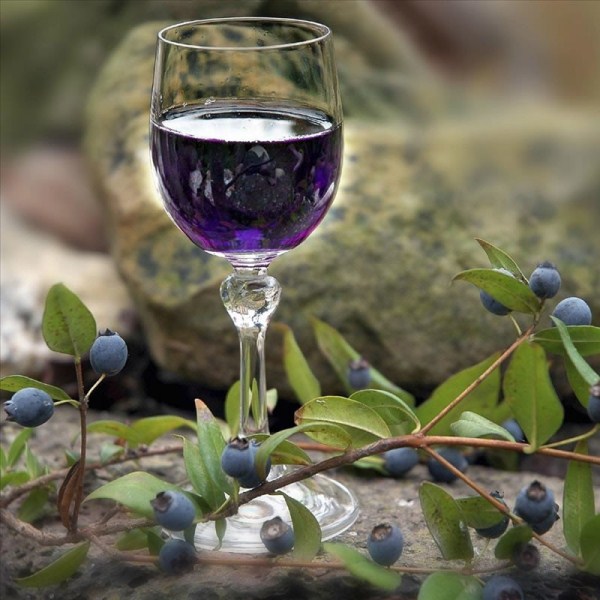  Infuzie de fructe de padure irgi