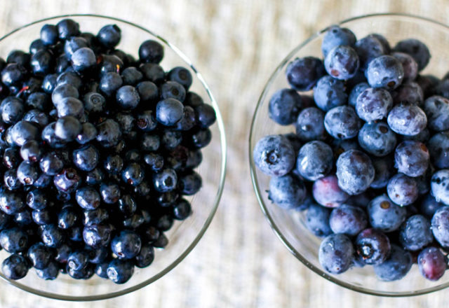  The difference between blueberries and blueberries