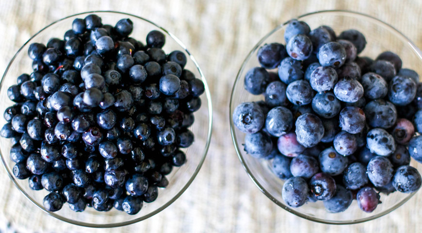  The difference between blueberries and blueberries